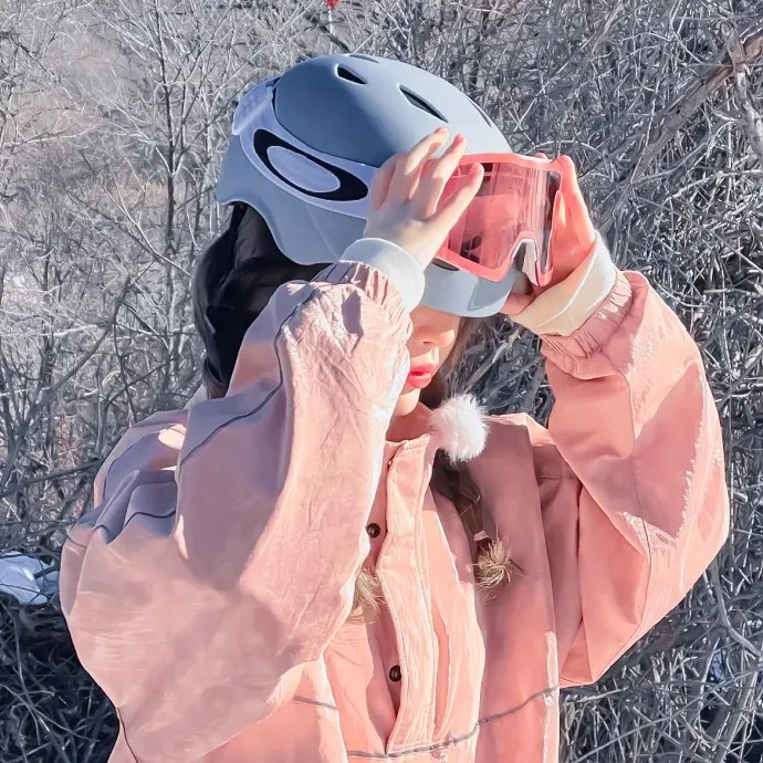 大明星醒目狗
